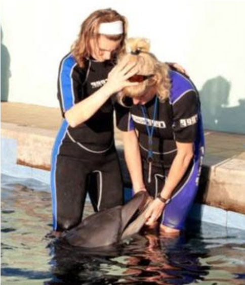 AIM for Animals Dolphin Missoula Montana