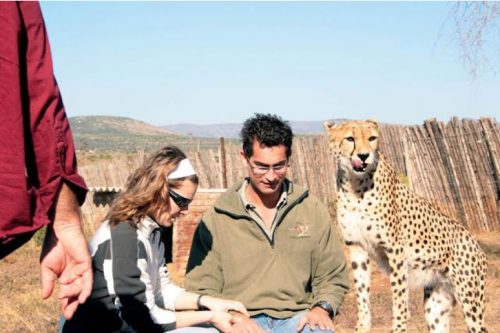 AIM for Animals Cheetah Missoula Montana